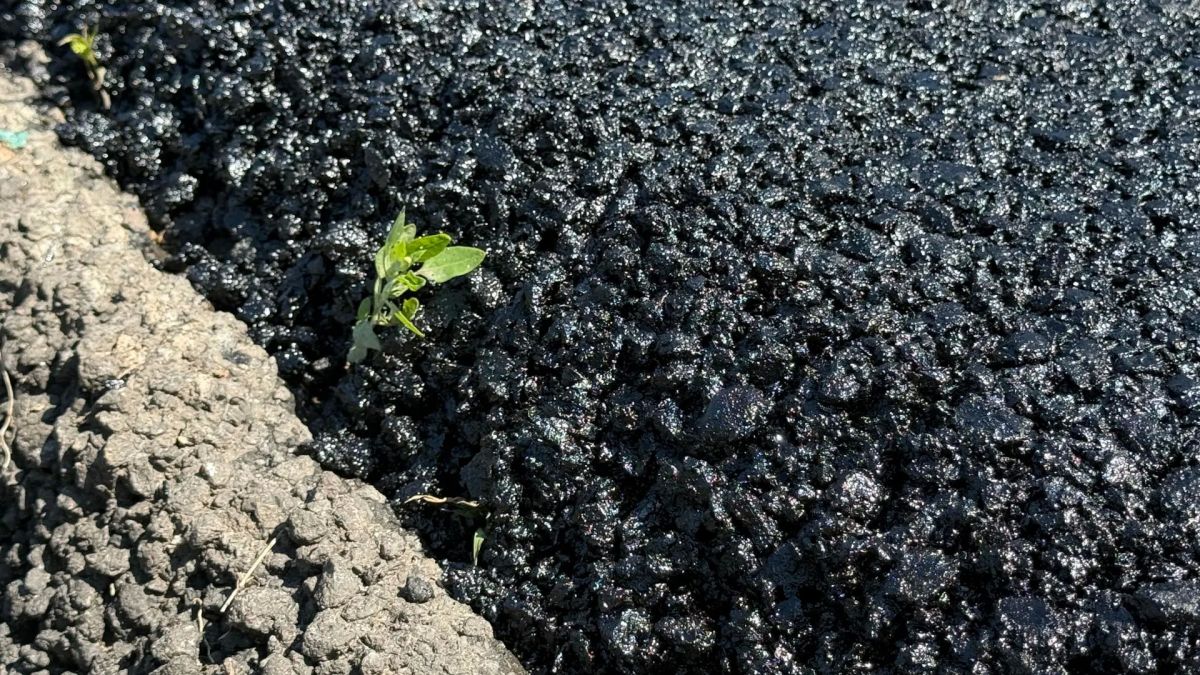 В Губкинском округе продолжается ремонт дороги возле Скородного В Губкинском округе продолжается ремонт дороги возле Скородного