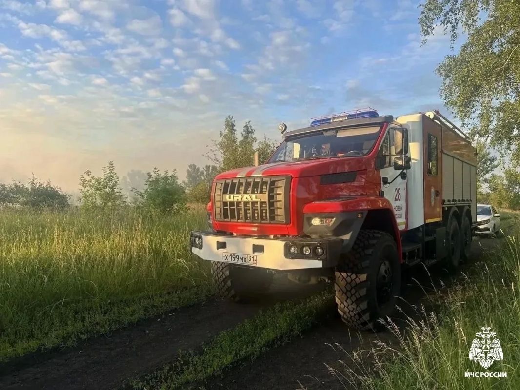 За прошедшую неделю зарегистрировано 30 пожаров, 7 из которых произошли в жилье За прошедшую неделю зарегистрировано 30 пожаров, 7 из которых произошли в жилье