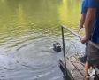 �������� �� ����: � ������ ������ ������ �������