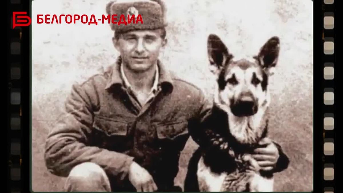 В России 19 августа отмечают День фронтовых собак