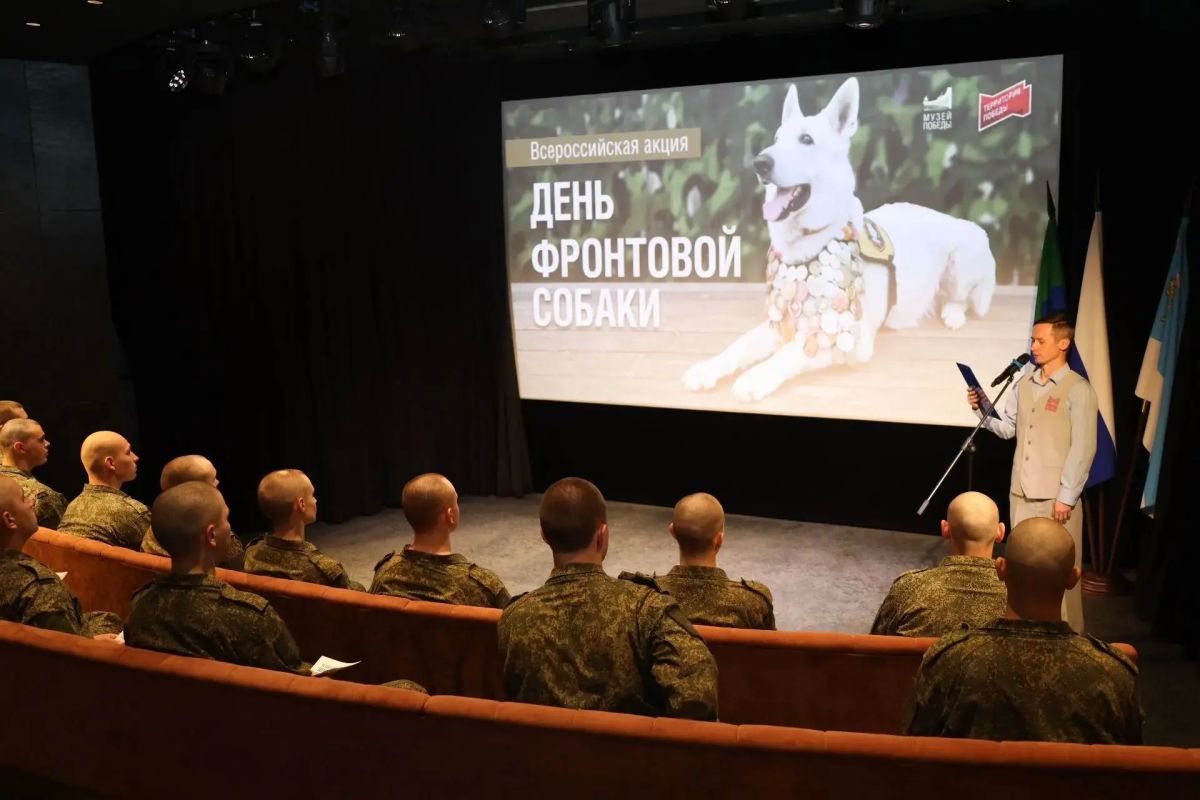 Музей-диорама присоединился к Всероссийской патриотической акции «День фронтовой собаки»