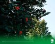 20 августа. Температура воздуха 27°C, переменная облачность, кратковременные дожди