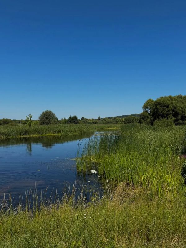Пятница на БелПрессе!. Коротко о том, как прекрасна Белгородская область в августе! Широкие поля, голубое небо, коровы и лошадки, жующие травку Расслабляющих фотокарточек вам в ленту Пятница на БелПрессе!. Коротко о том, как прекрасна Белгородская область в августе! Широкие поля, голубое небо, коровы и лошадки, жующие травку Расслабляющих фотокарточек вам в ленту