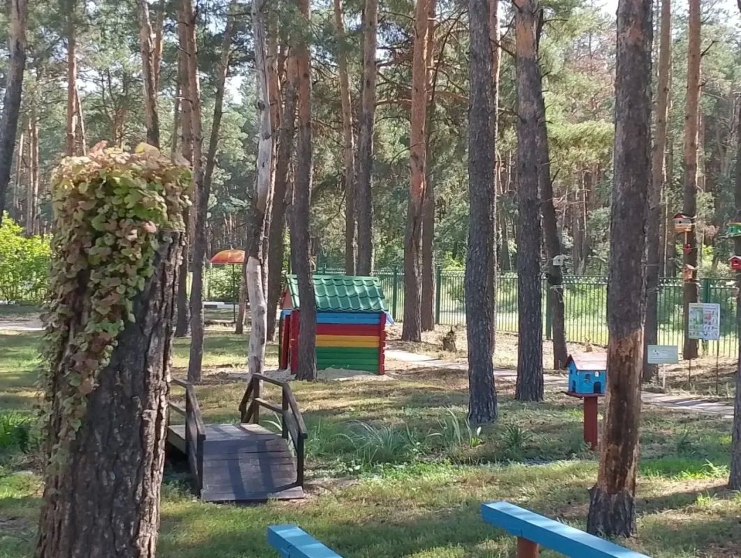 Благоустроено с любовью. Старооскольские образовательные организации представили свои территории на областном смотре-конкурсе на лучшее благоустройство Благоустроено с любовью. Старооскольские образовательные организации представили свои территории на областном смотре-конкурсе на лучшее благоустройство