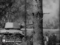 Александр Шуваев: 23 августа мы отмечаем День воинской славы России - 83-ю годовщину разгрома советскими войсками немецко-фашистских войск в Курской битве