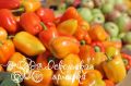 Фермерская ярмарка в Старом Осколе!