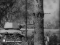 Александр Шуваев обратился к белгородцам в 83-ю годовщину Курской битвы