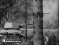 23 августа — 83-я годовщина разгрома немецко-фашистских войск в Курской битве