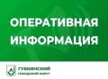 ������� �������: ��� ���������� ������� ���� ���� �����������