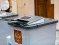 Белгородцы могут воспользоваться новым сервисом на едином портале государственных и муниципальных услуг «Волонтёры на избирательном участке»