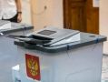 Белгородцы могут воспользоваться помощью волонтёров на избирательных участках