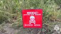 С начала года в Белгородской области обезврежено свыше 300 взрывоопасных предметов времен Великой Отечественной войны