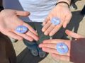 В Ракитянском округе завершился цикл иммерсивных репортажей «С места событий»
