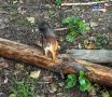 Сегодня, 26 августа, нас ждёт переменная облачность