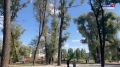 В парке «Берега» в столице региона продолжается строительство фитнес-центра под открытым небом