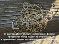 Прокуратура направила в суд уголовное дело по факту гибели 15-летнего подростка из-за удара током от самодельного удлинителя в Чернянке