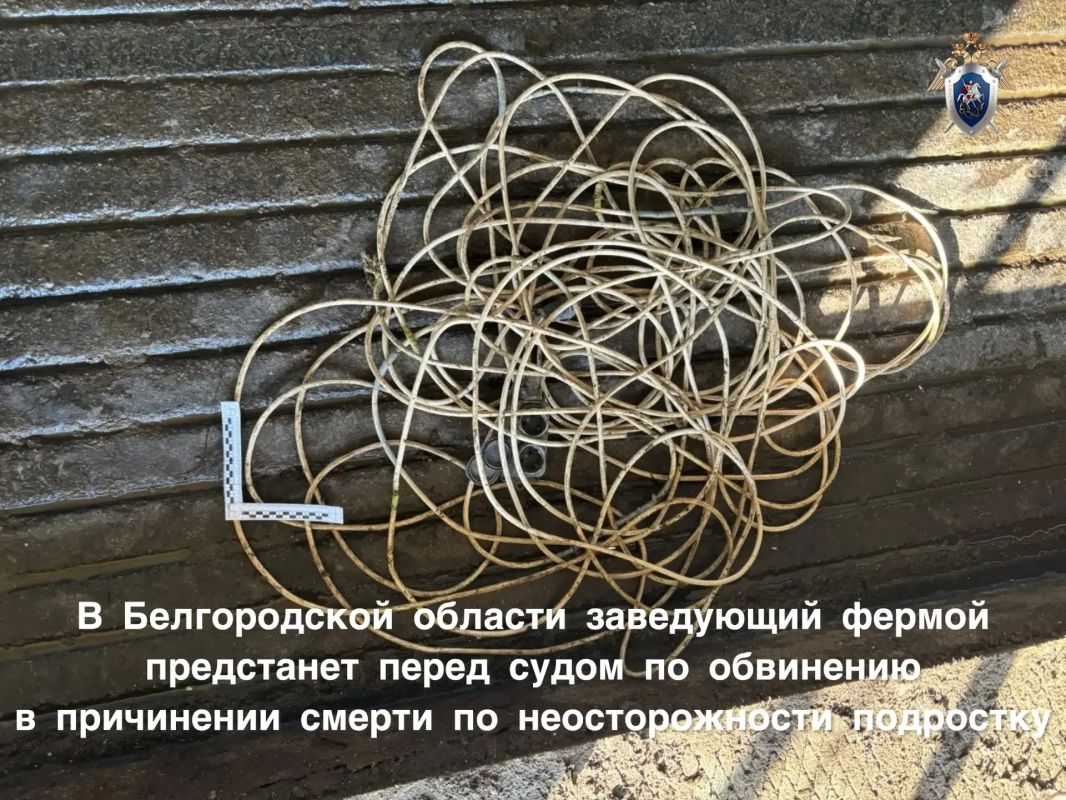 В Белгородской области заведующий фермой предстанет перед судом по обвинению в причинении смерти по неосторожности подростку