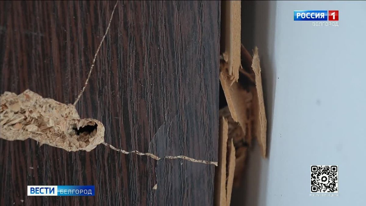 «Такое ощущение, что рой летит, а потом взрыв...»