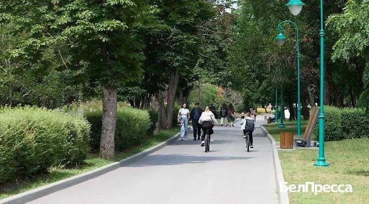 Поступления налога на прибыль в Белгородской области упали почти на четверть