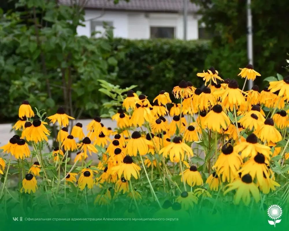 28 августа. Температура воздуха 21°C, переменная облачность, без осадков