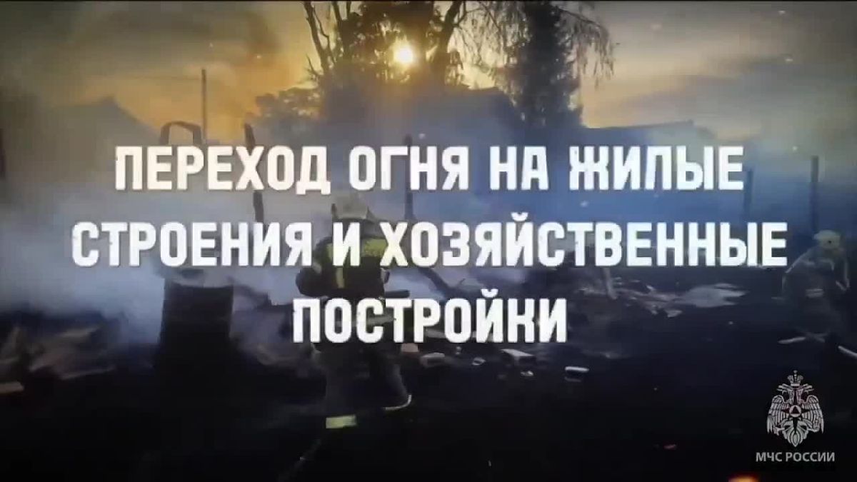 Не поджигай сухую траву: последствия могут быть катастрофическими