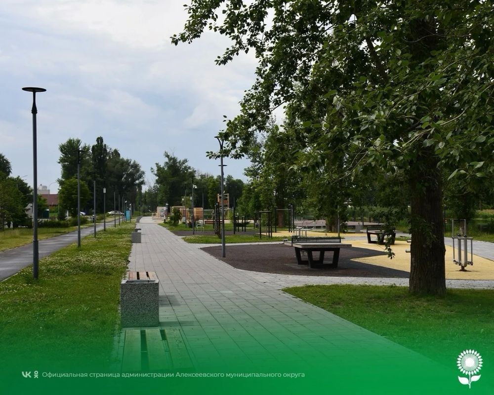29 августа. Температура воздуха 25°C, переменная облачность, без осадков