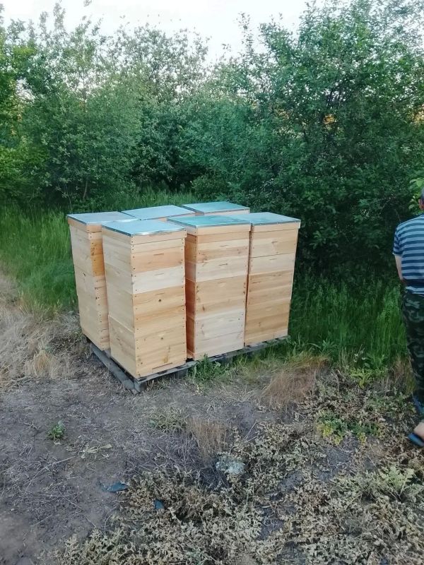 Татьяна Круглякова: Благодаря соцконтракту житель Беловского занялся пчеловодством Татьяна Круглякова: Благодаря соцконтракту житель Беловского занялся пчеловодством