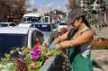 Цветущий подарок ко Дню города: «Зеленстрой» преображает улицы Старого Оскола