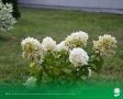 31 августа. Температура воздуха 28°C, переменная облачность, без осадков