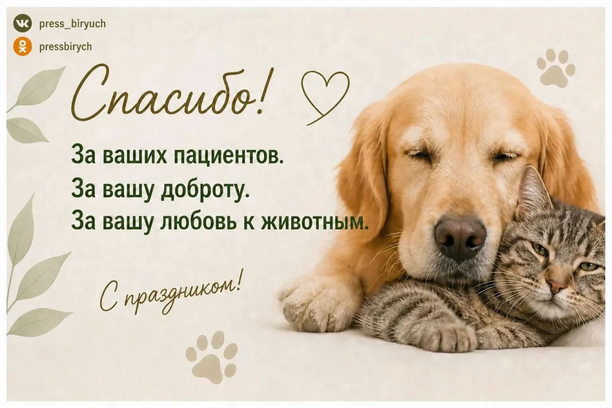 Сегодня мы отмечаем День ветеринарного работника и День любви к животным — два праздника, которые объединяют заботу, ответственность и доброту к нашим хвостатым, пушистым и пернатым друзьям Сегодня мы отмечаем День ветеринарного работника и День любви к животным — два праздника, которые объединяют заботу, ответственность и доброту к нашим хвостатым, пушистым и пернатым друзьям