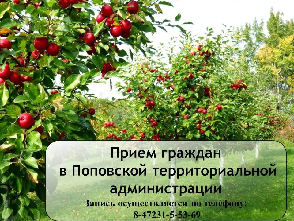 Уважаемые жители Поповской территории!