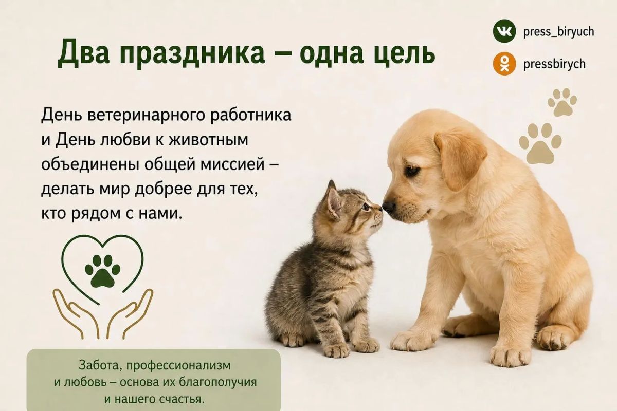Сегодня мы отмечаем День ветеринарного работника и День любви к животным — два праздника, которые объединяют заботу, ответственность и доброту к нашим хвостатым, пушистым и пернатым друзьям Сегодня мы отмечаем День ветеринарного работника и День любви к животным — два праздника, которые объединяют заботу, ответственность и доброту к нашим хвостатым, пушистым и пернатым друзьям
