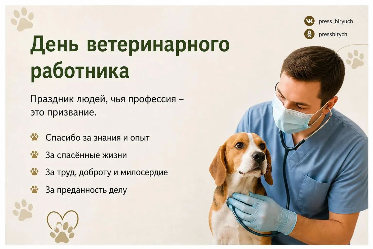 Сегодня мы отмечаем День ветеринарного работника и День любви к животным — два праздника, которые объединяют заботу, ответственность и доброту к нашим хвостатым, пушистым и пернатым друзьям Сегодня мы отмечаем День ветеринарного работника и День любви к животным — два праздника, которые объединяют заботу, ответственность и доброту к нашим хвостатым, пушистым и пернатым друзьям