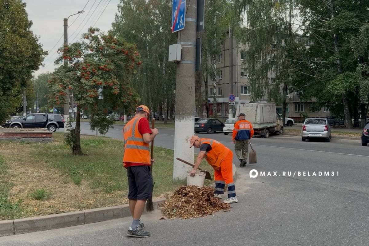 Город становится чище – и в этом большая заслуга наших коммунальных служб, которые трудятся каждый день Город становится чище – и в этом большая заслуга наших коммунальных служб, которые трудятся каждый день