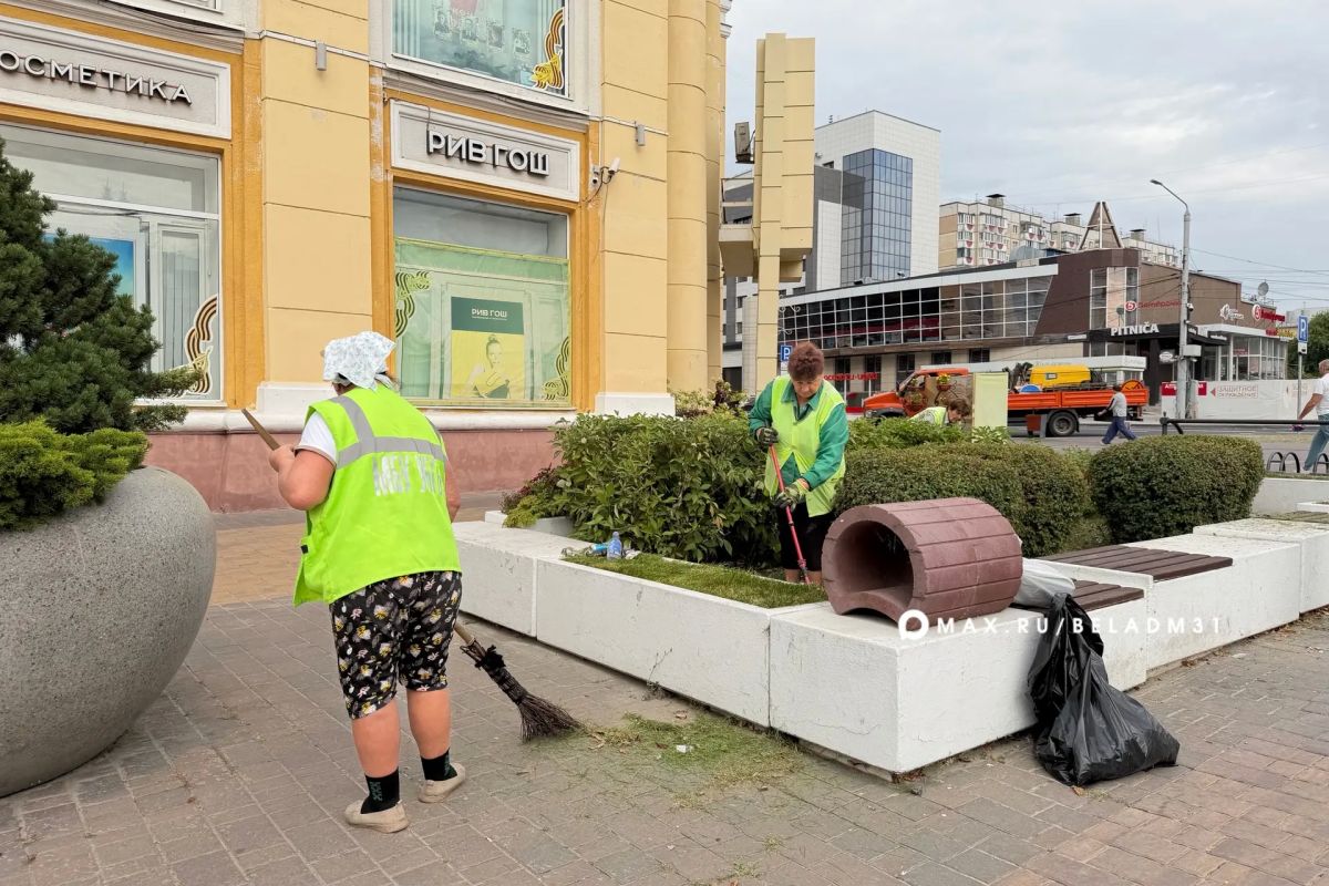 Город становится чище – и в этом большая заслуга наших коммунальных служб, которые трудятся каждый день Город становится чище – и в этом большая заслуга наших коммунальных служб, которые трудятся каждый день