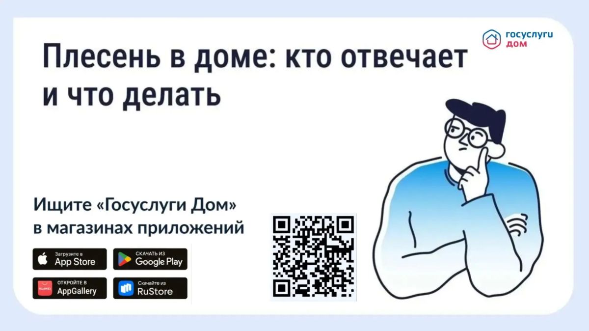 Рассказываем вам о том, что делать при появлении плесени в квартире