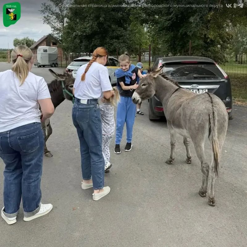 Юные жители Белгородского округа посетили конный реабилитационный центр «Благое дело» Юные жители Белгородского округа посетили конный реабилитационный центр «Благое дело»