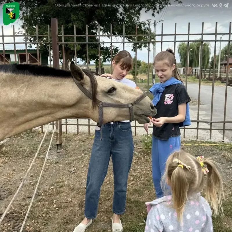 Юные жители Белгородского округа посетили конный реабилитационный центр «Благое дело» Юные жители Белгородского округа посетили конный реабилитационный центр «Благое дело»
