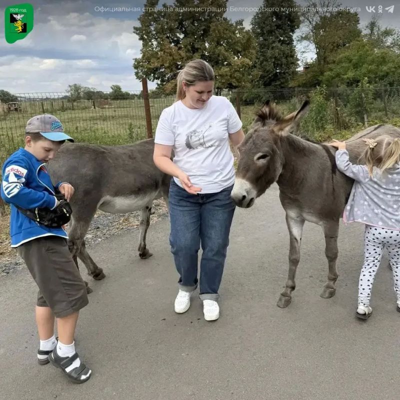 Юные жители Белгородского округа посетили конный реабилитационный центр «Благое дело» Юные жители Белгородского округа посетили конный реабилитационный центр «Благое дело»