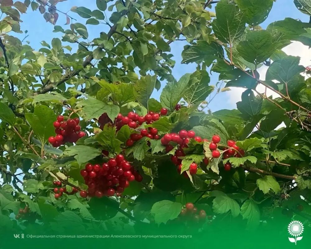 4 сентября. Температура воздуха 26°C, переменная облачность, кратковременные дожди