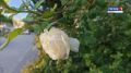 �������� ��������� ������ �����