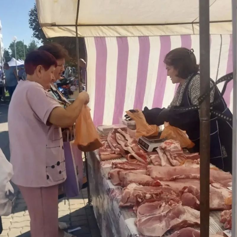 Татьяна Круглякова: За свежими белгородскими продуктами — на нашу традиционную ярмарку выходного дня Татьяна Круглякова: За свежими белгородскими продуктами — на нашу традиционную ярмарку выходного дня