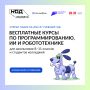 Стартовал приём заявок на бесплатное обучение по проекту «Код будущего»