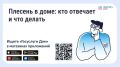 ������� � ��������: ��� ������?