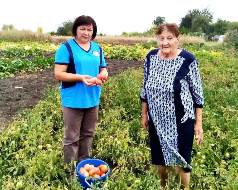 С наступлением осени в нашем округе стартовала замечательная акция «Добрый огород» С наступлением осени в нашем округе стартовала замечательная акция «Добрый огород»