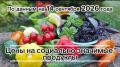 Владимир Переверзев: Где дешевле всего купить необходимые продукты в посёлке Борисовка