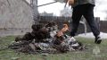 Пал травы и мусора – опасность для природы и человека