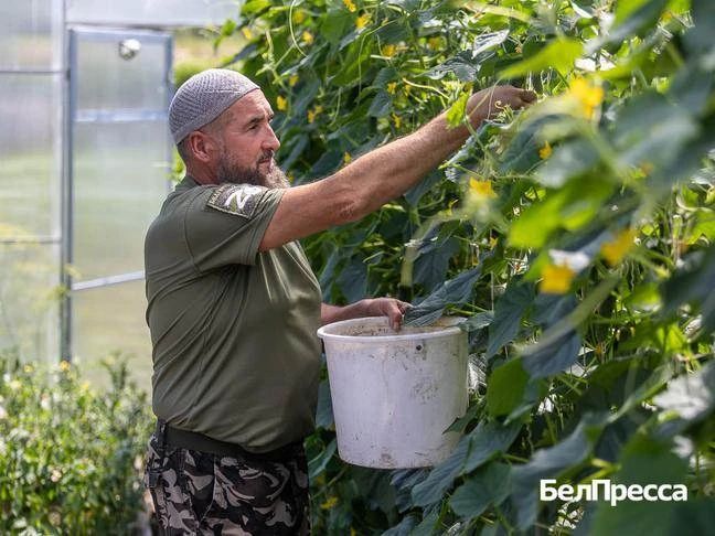 Мирные заботы Сварожича, или Путь белгородца Владимира Бондарева от воина к хозяйственнику Мирные заботы Сварожича, или Путь белгородца Владимира Бондарева от воина к хозяйственнику