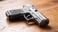 Девять жителей Белгородской области добровольно сдали незаконно хранившееся оружие