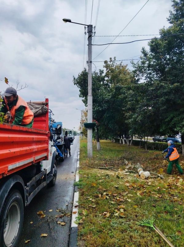 Сентябрь в самом разгаре, и работники «Зеленстроя» делают всё возможное, чтобы осенние прогулки были приятными: Сентябрь в самом разгаре, и работники «Зеленстроя» делают всё возможное, чтобы осенние прогулки были приятными: